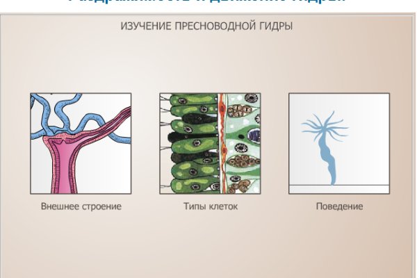 Кракен 2024 сайт