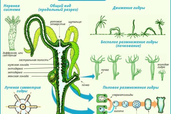 Kraken дарк магазин